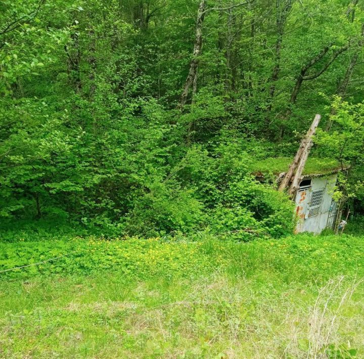 земля г Сочи р-н Лазаревский снт Мечта с Верховское 27 фото 8