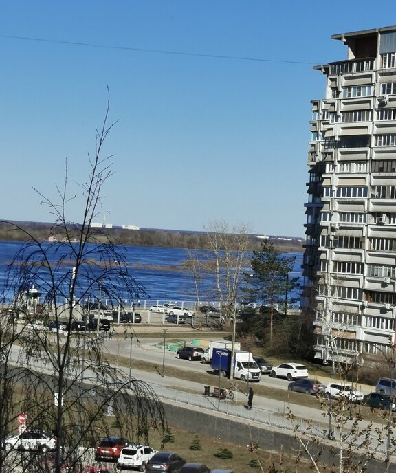 квартира г Нижний Новгород р-н Канавинский Стрелка Мещерское Озеро ул Пролетарская 14а фото 2