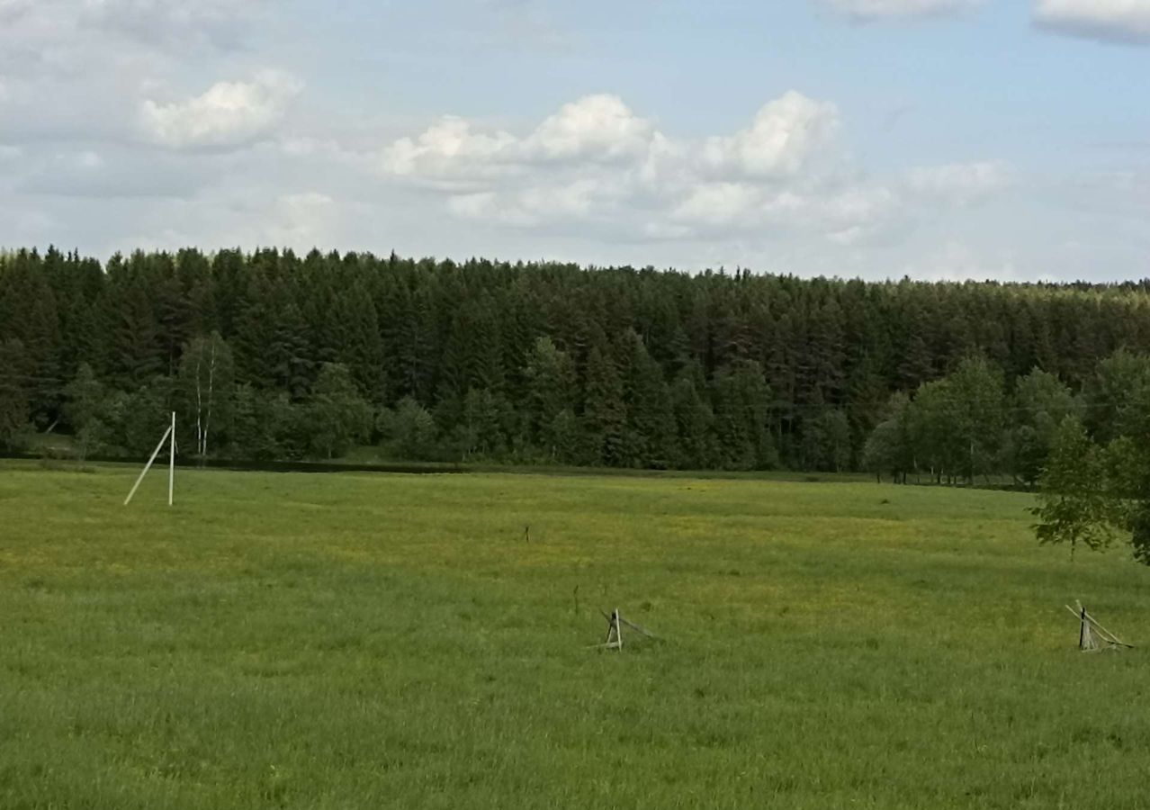 земля р-н Даниловский г Данилов Даниловское сельское поселение, М-8 Холмогоры, 331-й километр фото 20