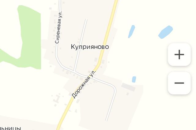 д Куприяново ул Сиреневая фото