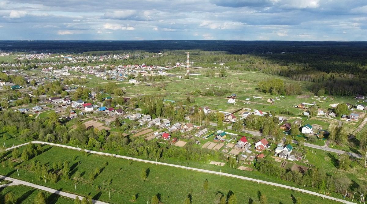 земля р-н Ярославский д Кормилицино Карабихское с/пос, Лес кп фото 3