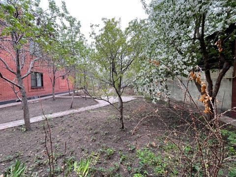 дом г Троицк Амур ул им. Н.В. Еремеева 11 фото 7