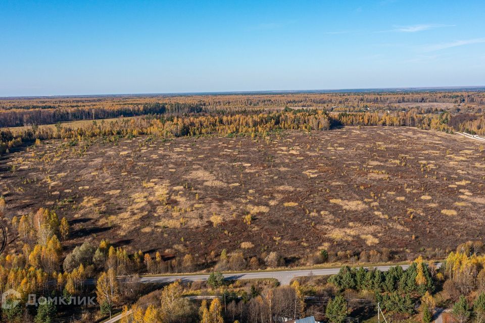 земля городской округ Ступино д Починки снт Починки фото 2