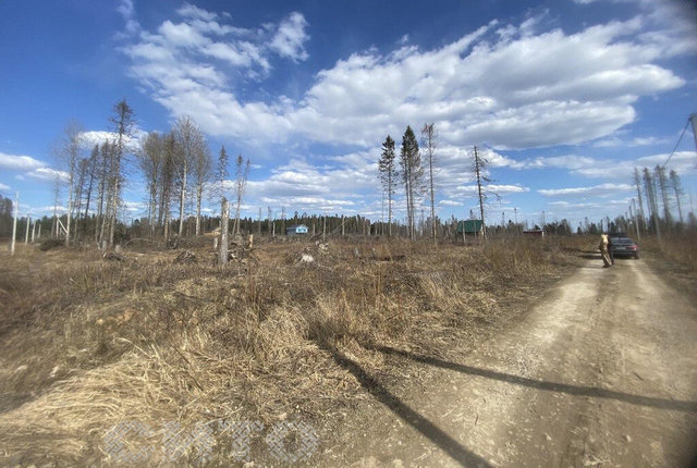 г Череповец ул Нижегородская фото