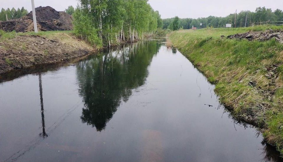 дом р-н Тюменский д Решетникова ул Березовая 2 фото 10