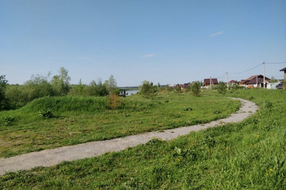 земля р-н Новосибирский снт Зеленая Поляна фото 9
