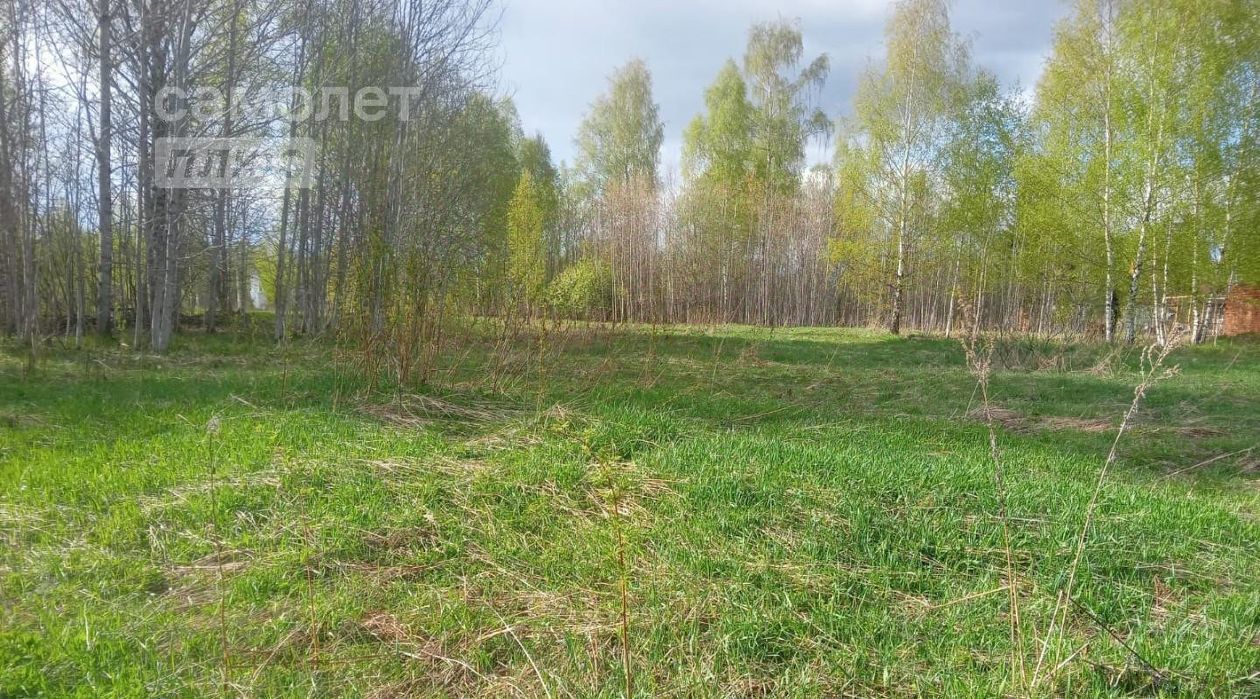 земля г Переславль-Залесский ул Садовая Залесье СНТ фото 4