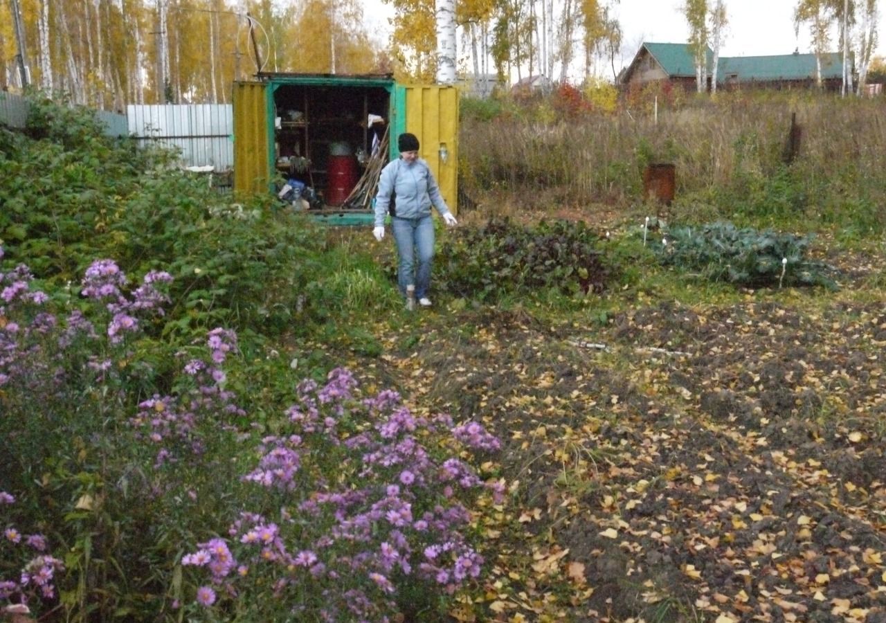 земля р-н Сосновский снт Курчатовец Алишевское сельское поселение, 63-й квартал, Полетаево фото 3