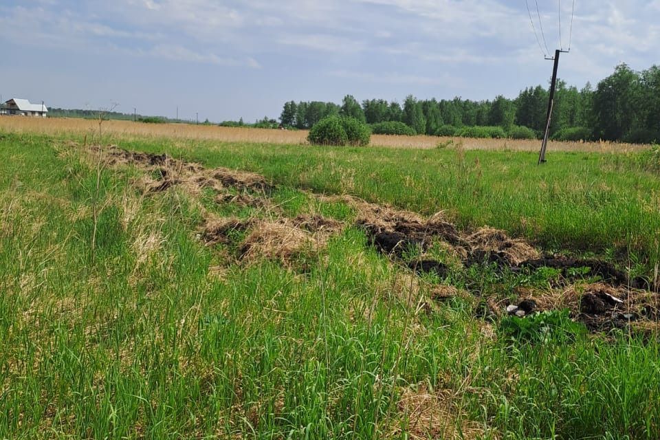 Купить Участок Снт Виктория Новосибирск