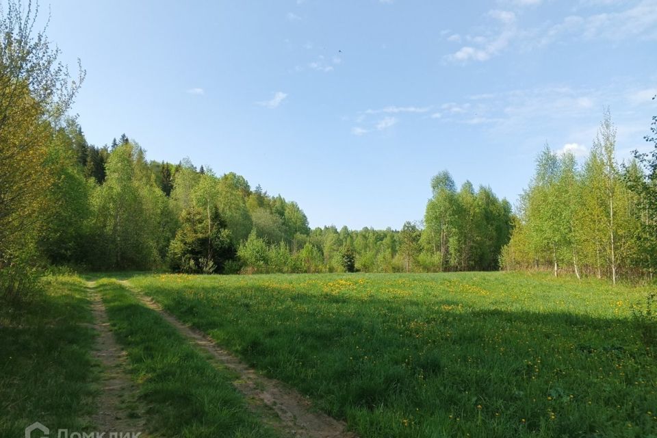 земля р-н Выборгский фото 2