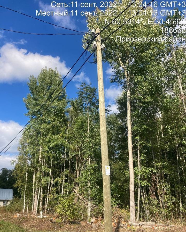 земля р-н Приозерский п Запорожское Запорожское сельское поселение, коттеджный пос. Усть-Бурная, Сосново фото 1