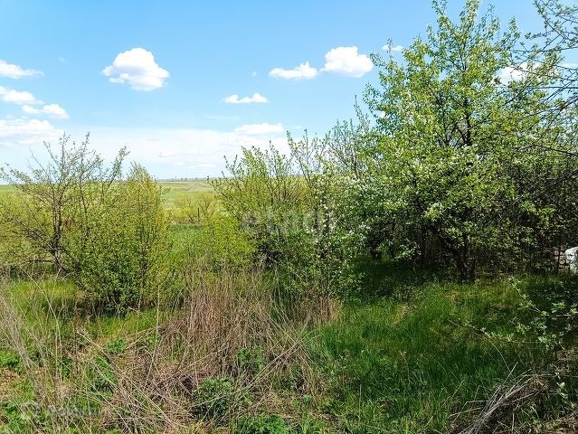 дом р-н Хохольский фото 10