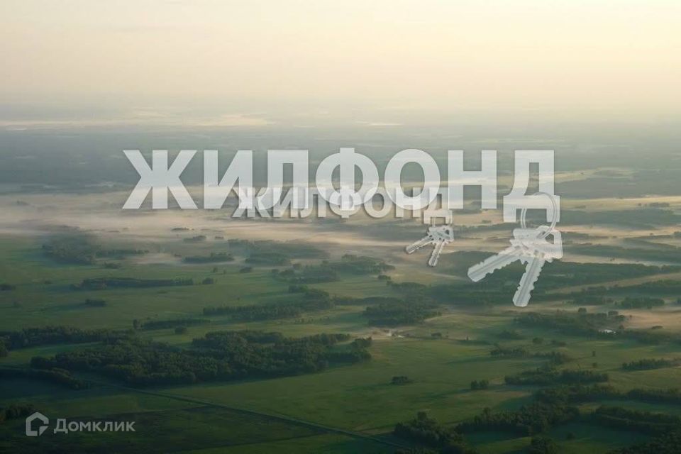 земля р-н Новосибирский фото 1