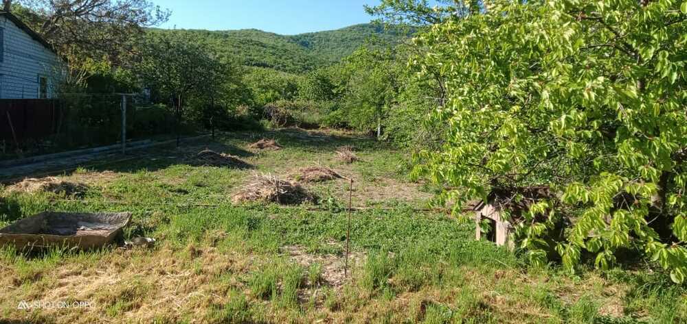 земля р-н Анапский х Куток снт Пищевик городской округ Анапа, Пищевик  хутор Куток фото 1