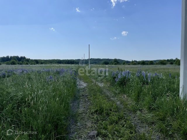 земля р-н Зеленоградский фото 6