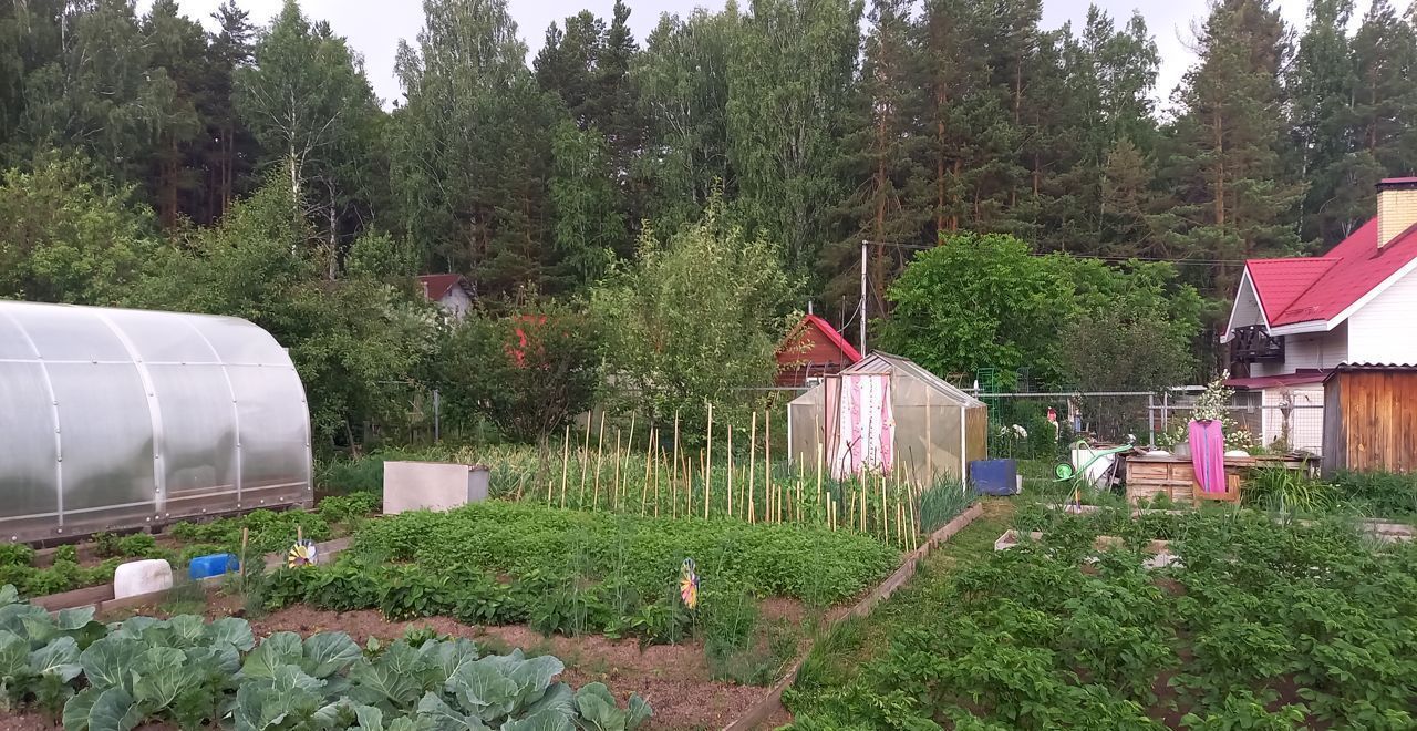 дом г Березовский сад тер коллективныйN77 Медик Екатеринбург, Ягодная ул фото 6