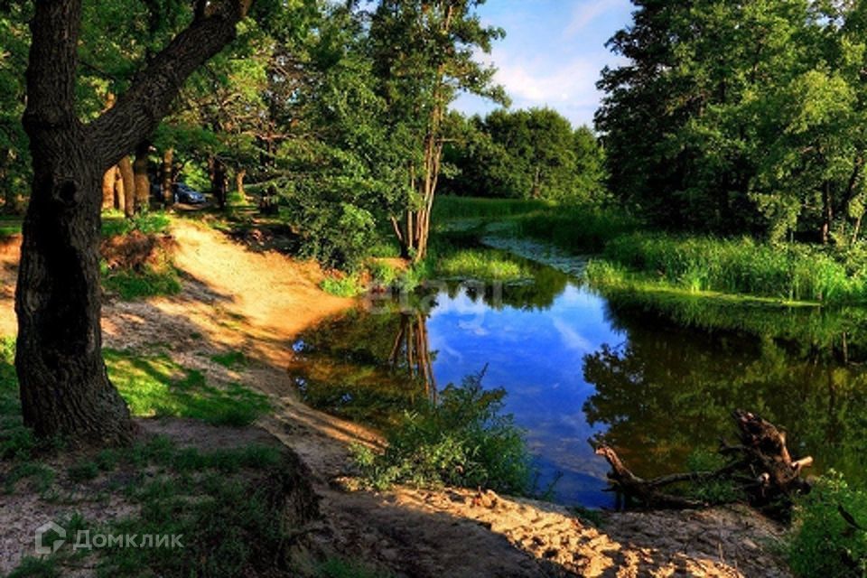 земля р-н Дальнеконстантиновский фото 2