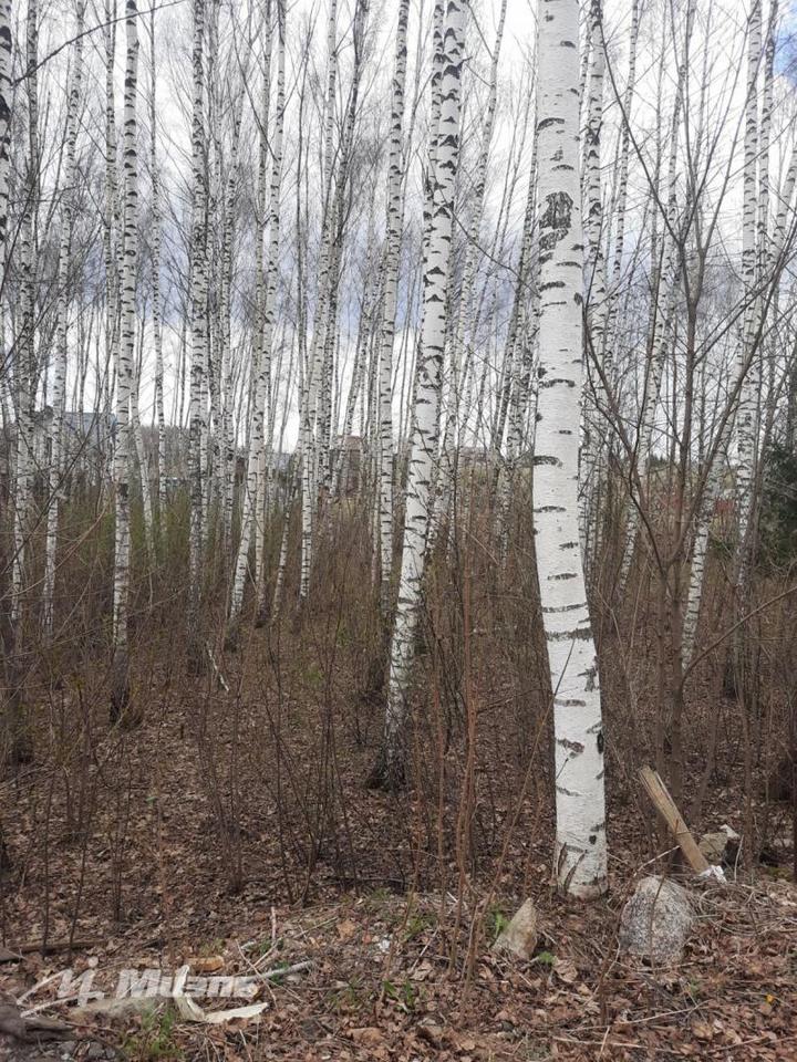 земля городской округ Солнечногорск п Лунёво ЖК «Лунево» пос фото 6