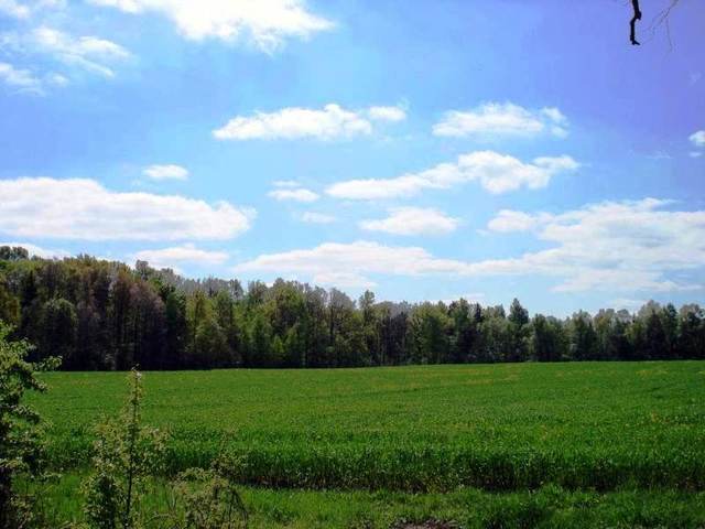 городской округ Красногорск д Глухово фото