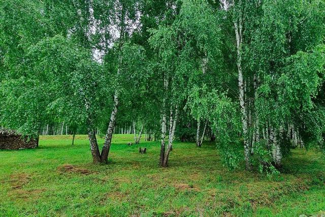 городской округ Одинцовский с Лайково фото