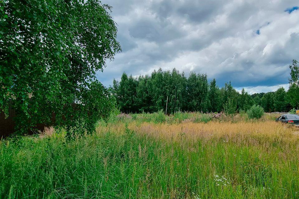 земля городской округ Одинцовский д Папушево фото 2