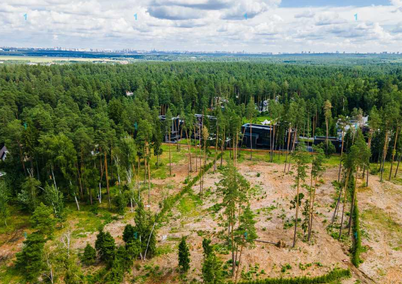 дом городской округ Одинцовский д Барвиха фото 37