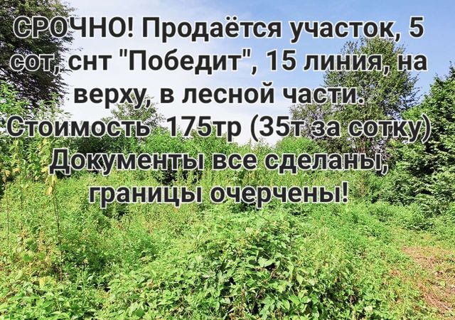 Республика Северная Осетия — Пригородный р-н, садоводческое товарищество Победит фото