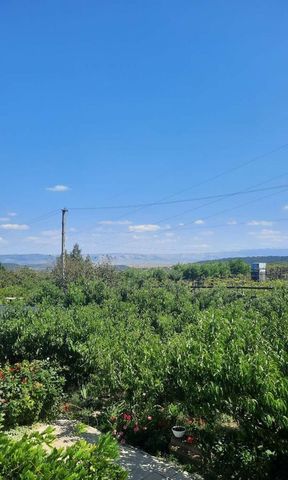 земля тер СПК Долина Добровское сельское поселение, Украинка фото