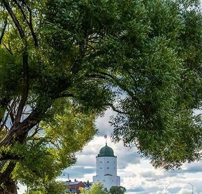 квартира р-н Выборгский г Выборг р-н Центральный наб Адмирала Чичагова фото 15