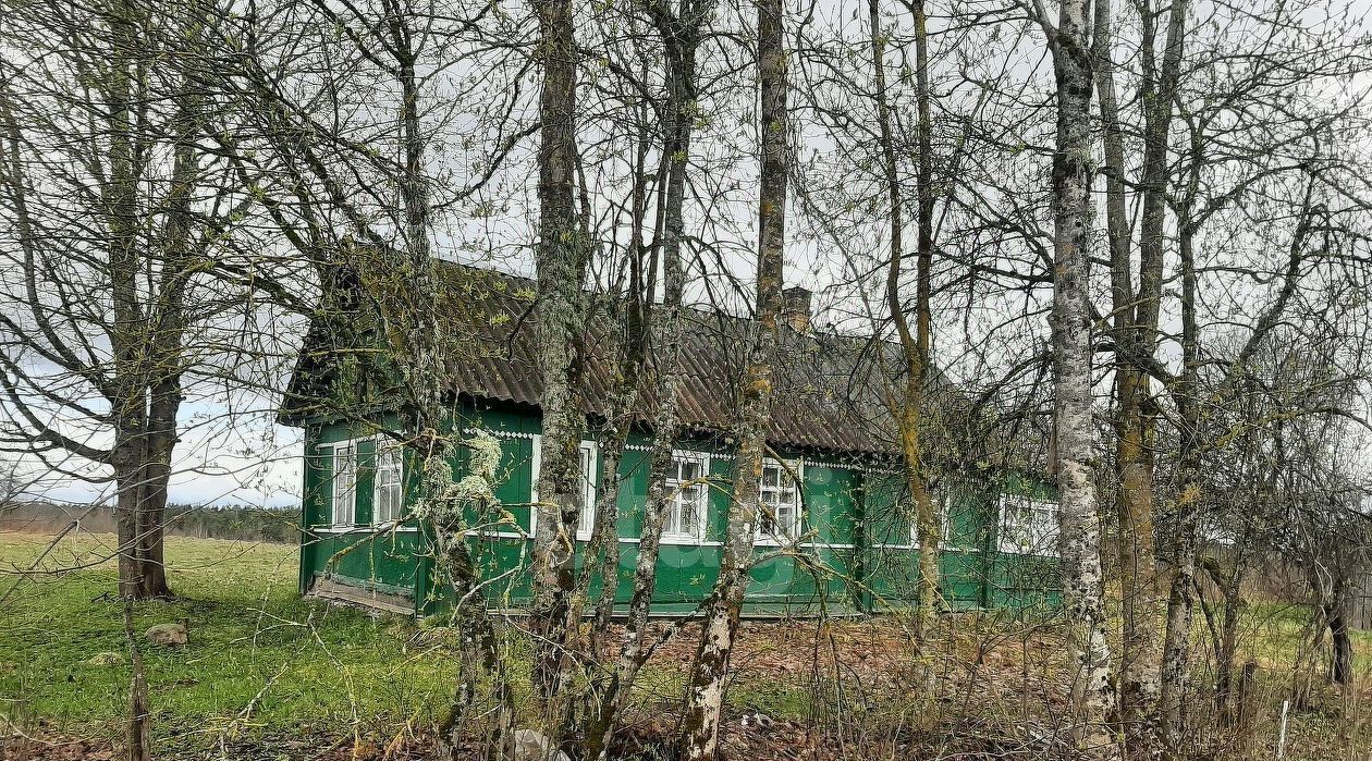 дом р-н Псковский Р-56, 217-й км фото 1