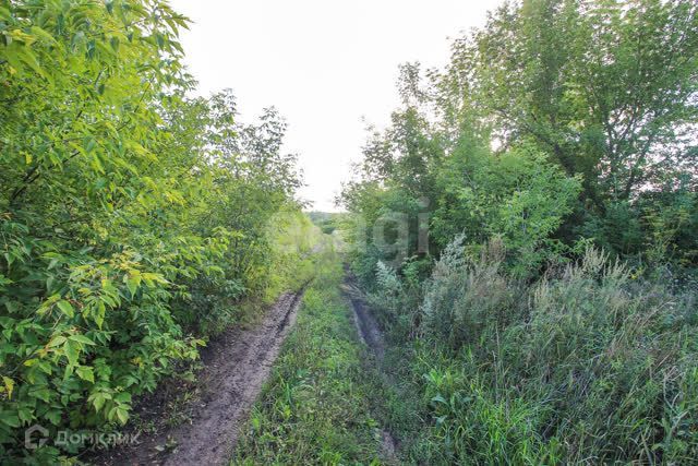 земля г Барнаул п Бельмесево ул Сельская р-н Центральный фото 9