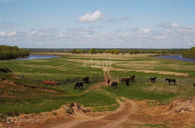 земля р-н Муромцевский фото 7