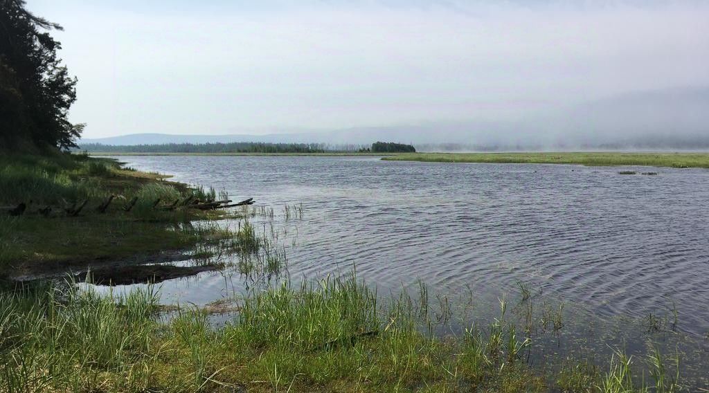 комната р-н Прибайкальский с Гремячинск ул Лесная фото 35