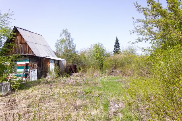 городской округ Омск, территория СОСН Шинник-2, 9-я аллея фото