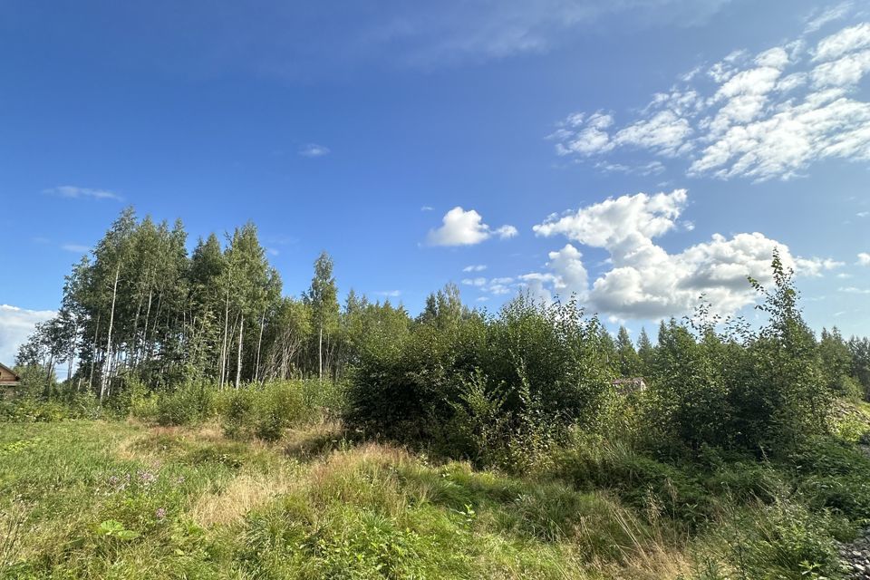 земля г Череповец Зашекснинский район, городской округ Череповец фото 2