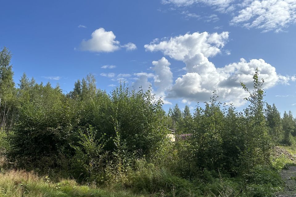 земля г Череповец Зашекснинский район, городской округ Череповец фото 4