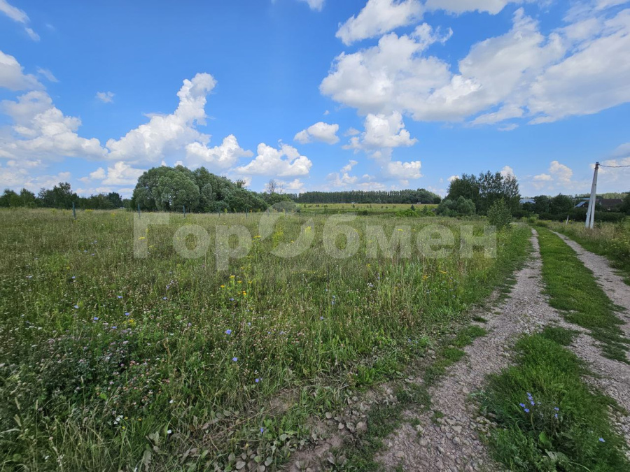 земля г Кашира д Романовское тер фото 5