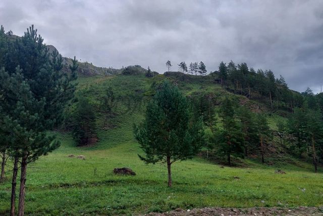 село Чемал фото