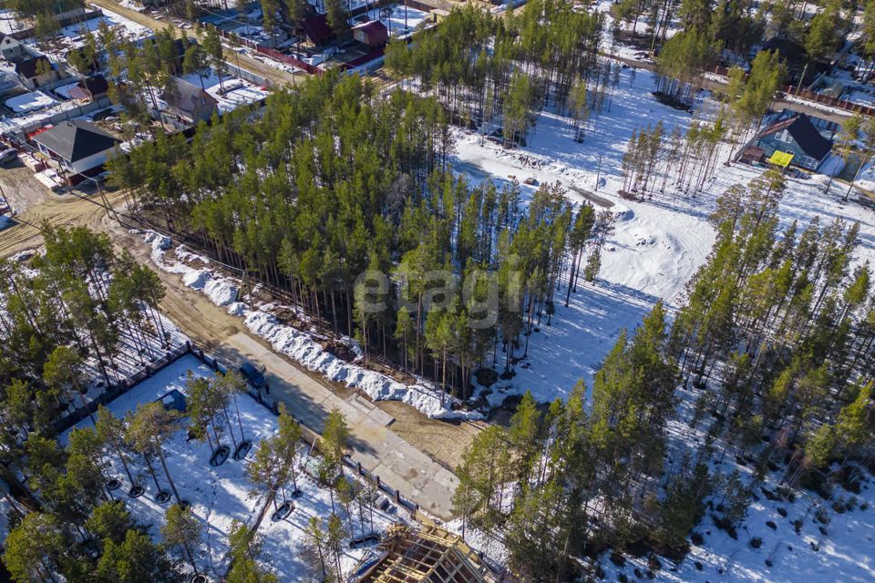 земля г Сургут городской округ Сургут, ДНТ Алтай фото 6