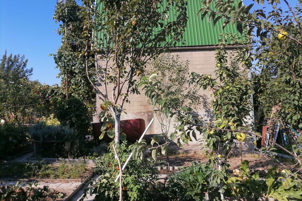 дом муниципальное образование Анапа, садоводческое некоммерческое товарищество Здоровье фото 4