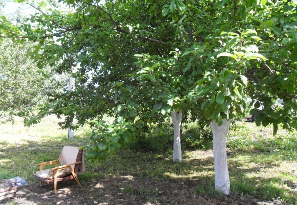 дом р-н Болховский п Березуй Новосинецкое сельское поселение, Болхов фото 21