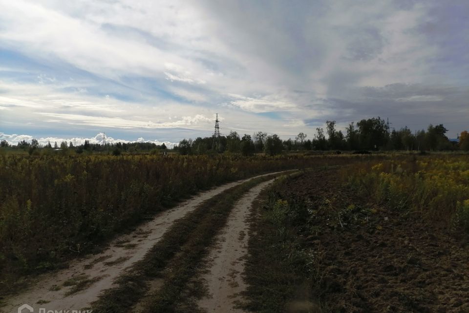 земля р-н Киржачский деревня Илькино фото 2