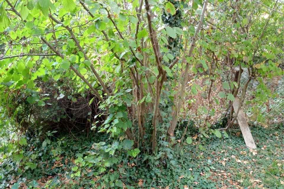 земля г Горячий Ключ ул Кондратьева 2 городской округ Горячий Ключ фото 1
