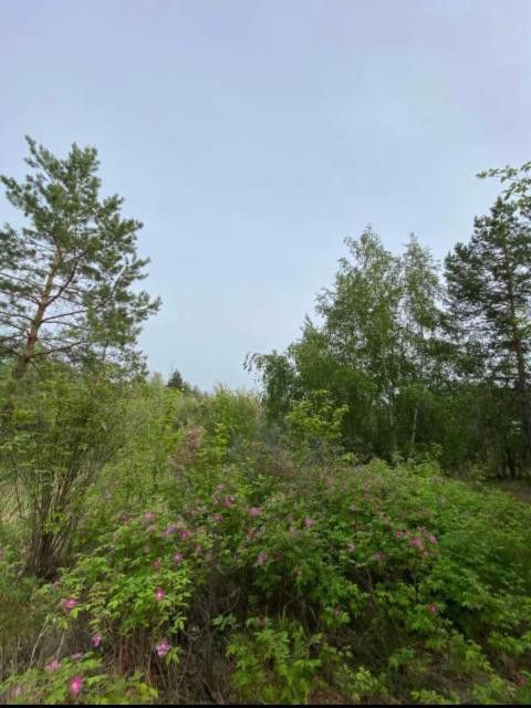 земля г Якутск городской округ Якутск, микрорайон Марха фото 5