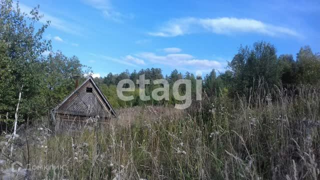 земля городской округ Дивногорск, массив Манская Гора фото 6