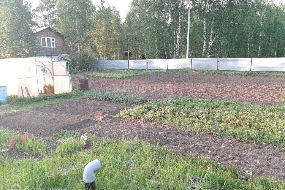 дом р-н Новосибирский садовое товарищество Агро фото 2