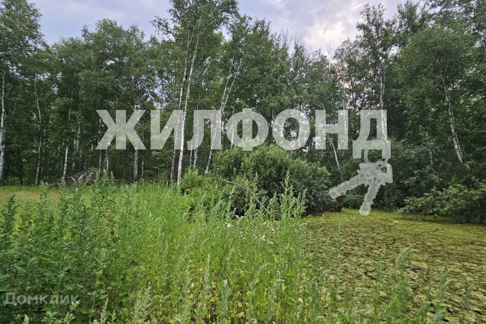 земля г Новосибирск СНТ Сибиряк, городской округ Новосибирск фото 2