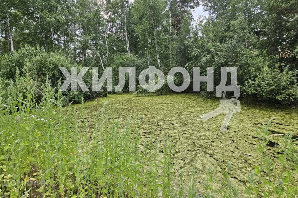 земля г Новосибирск СНТ Сибиряк, городской округ Новосибирск фото 3