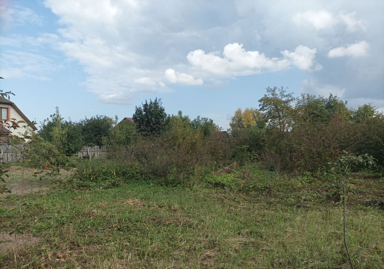 земля р-н Касимовский с Дмитриево Дмитриевское сельское поселение, Елатьма фото 6