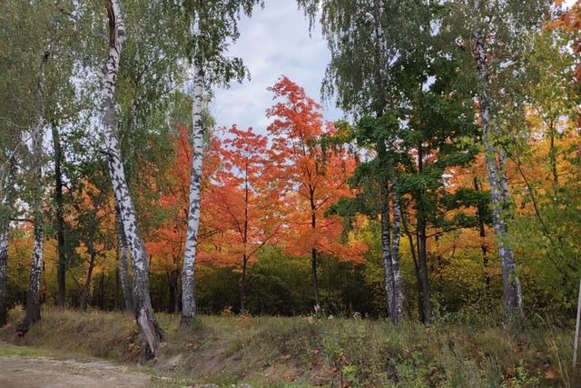 снт Малинка 405, городской округ Ульяновск фото